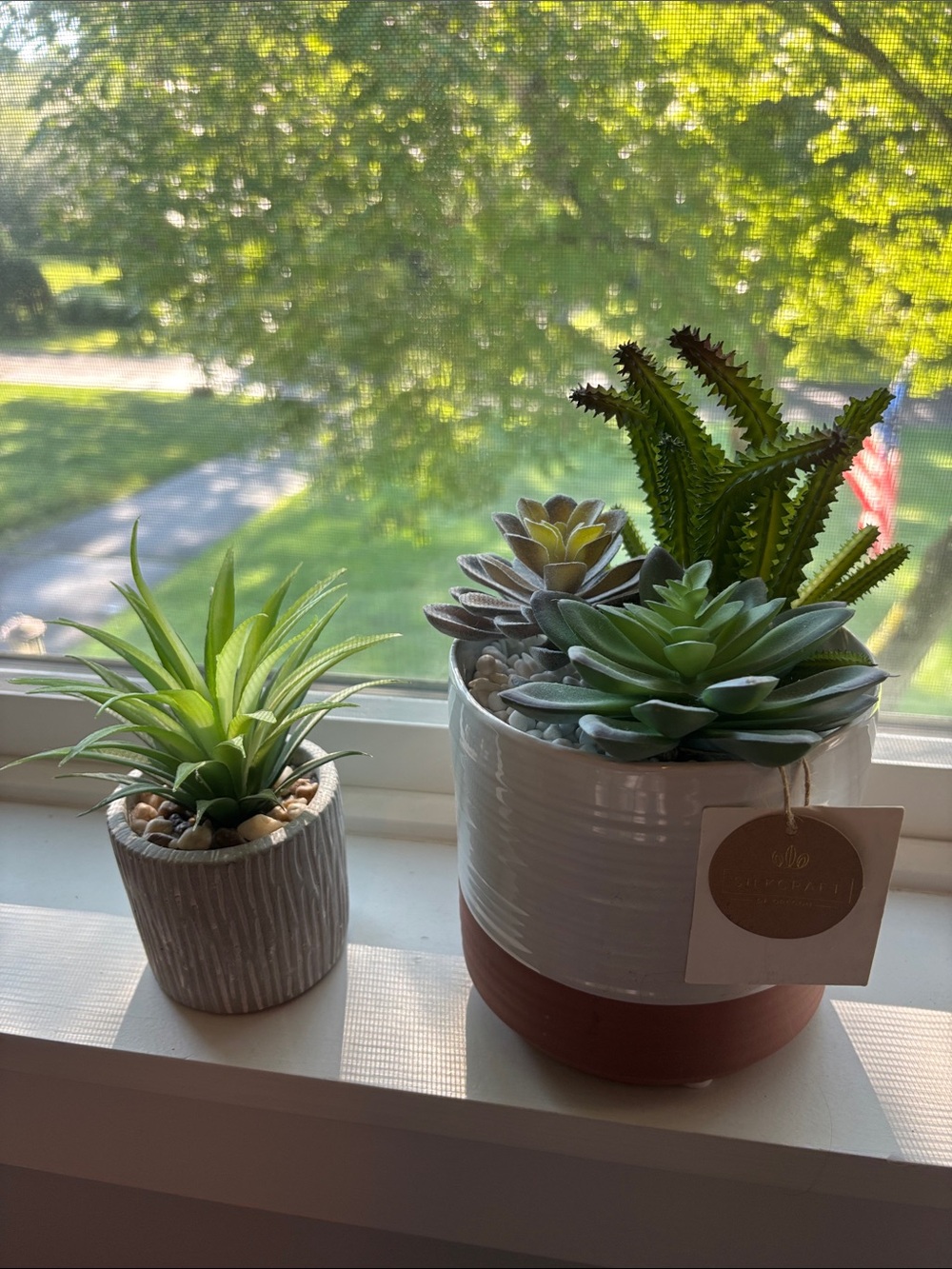 T.J.Maxx Faux Succulent Duo in White and Brown Planters